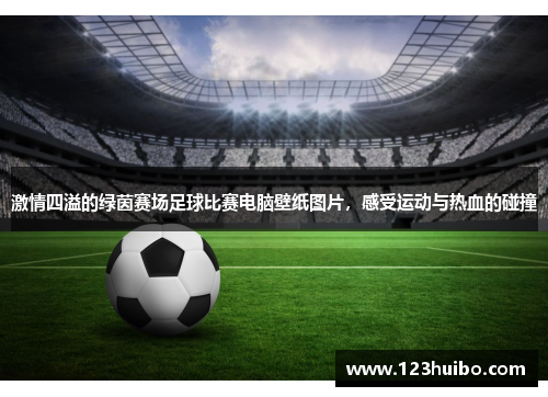 激情四溢的绿茵赛场足球比赛电脑壁纸图片，感受运动与热血的碰撞