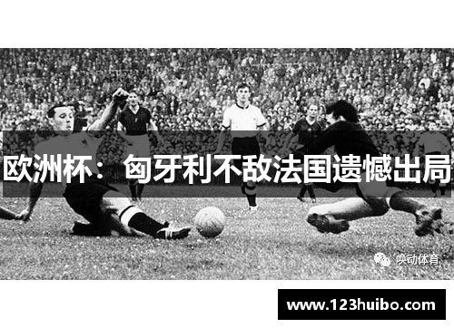 欧洲杯：匈牙利不敌法国遗憾出局